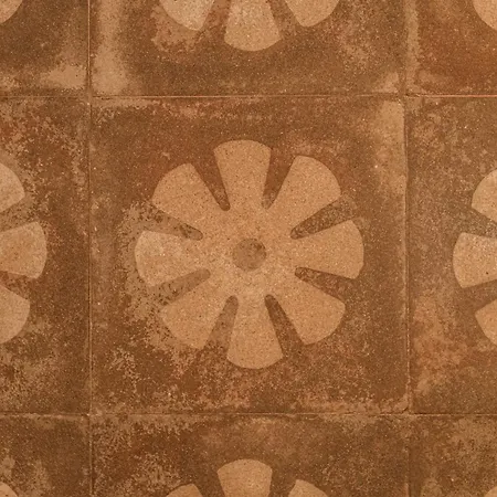 8petali